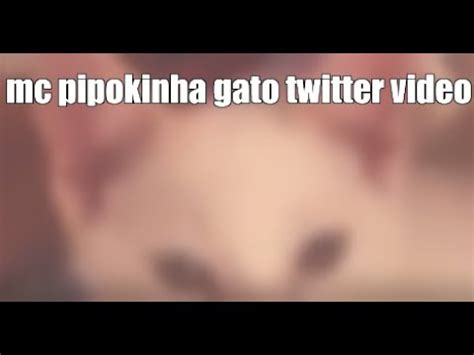 pipokinha com gato|PIPOKINHA CAT LICKING ORIGINAL VIDEO 